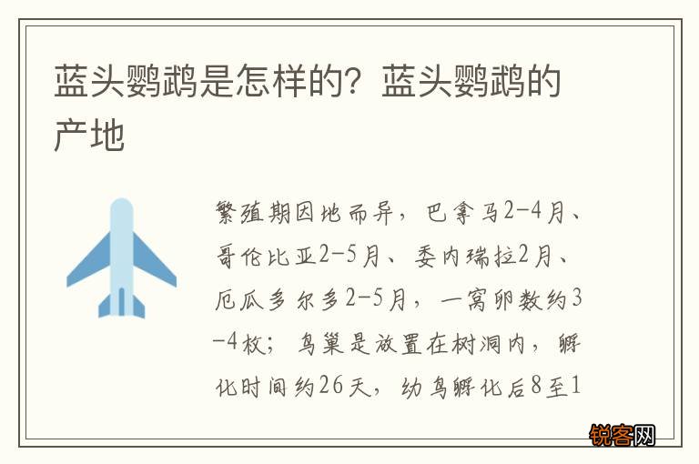 蓝头鹦鹉是怎样的？蓝头鹦鹉的产地