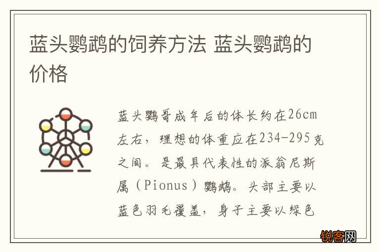 蓝头鹦鹉的饲养方法 蓝头鹦鹉的价格