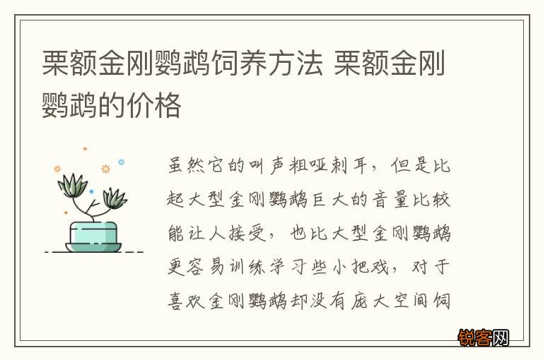 栗额金刚鹦鹉饲养方法 栗额金刚鹦鹉的价格