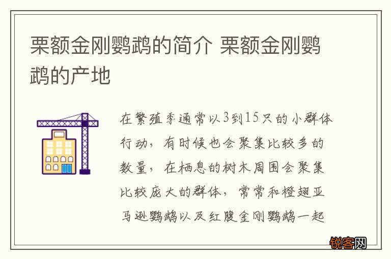 栗额金刚鹦鹉的简介 栗额金刚鹦鹉的产地