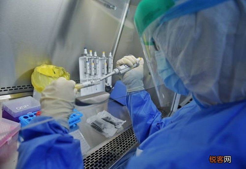 什么会影响核酸检测准确性