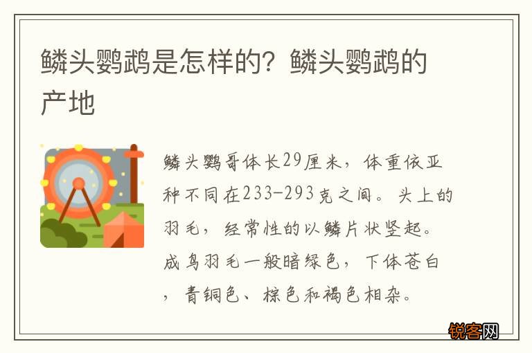鳞头鹦鹉是怎样的？鳞头鹦鹉的产地