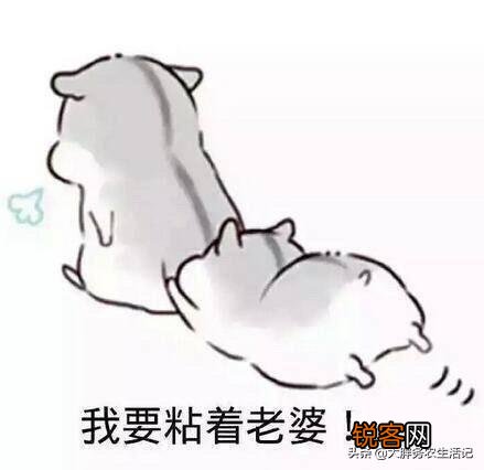 夸赞老婆的20句的话,不能重复。怎么说？