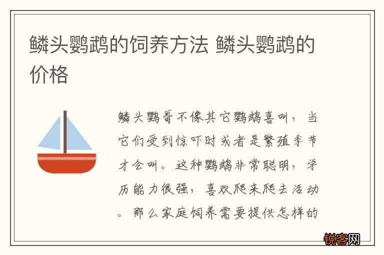 鳞头鹦鹉的饲养方法 鳞头鹦鹉的价格