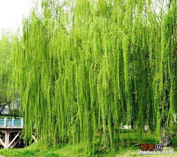 美女画了一幅画求夸,我该怎么花式夸她画的好呢？