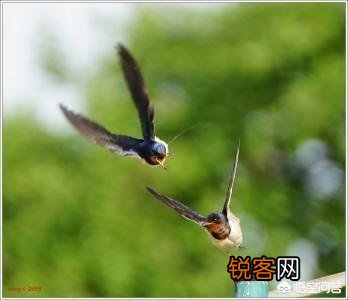 美女画了一幅画求夸,我该怎么花式夸她画的好呢？