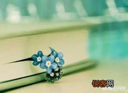 美女画了一幅画求夸,我该怎么花式夸她画的好呢？