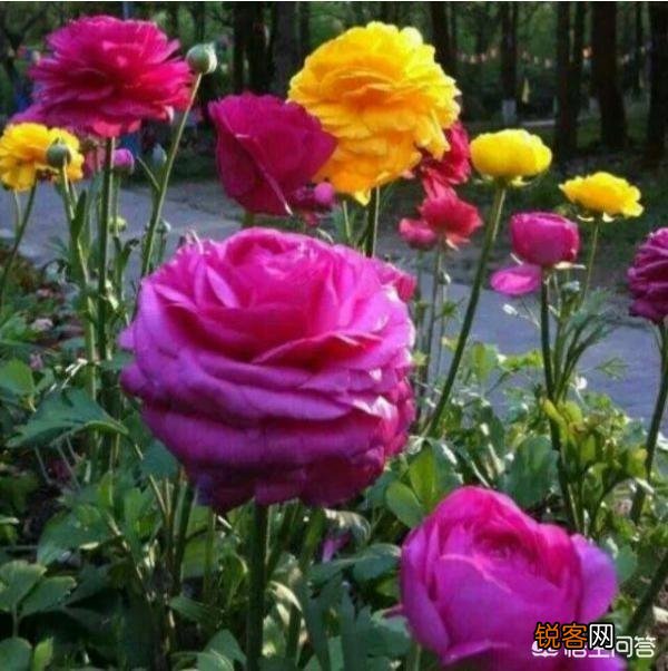 人的心理暗示究竟可以强大到什么地步？