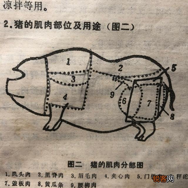 哪里的五花肉最好吃？