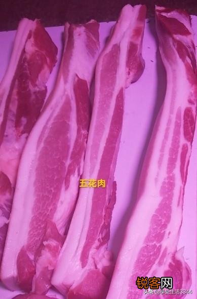 红烧肉最好是用哪个部位的肉？