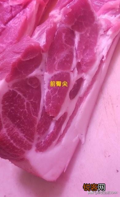 红烧肉最好是用哪个部位的肉？