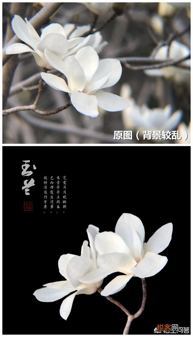 手机的哪些软件有抠图功能？