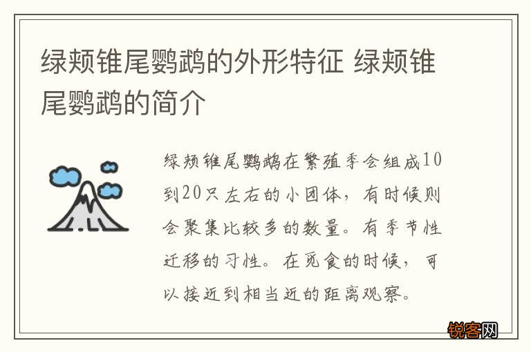 绿颊锥尾鹦鹉的外形特征 绿颊锥尾鹦鹉的简介