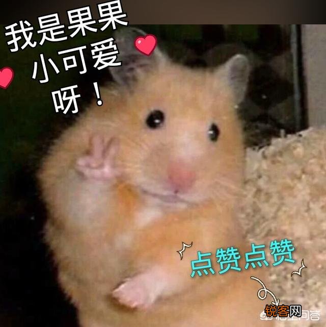 男女生在一起都会做什么？