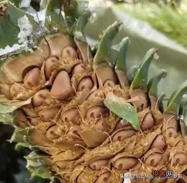 未来还有什么可以白手起家的行业？