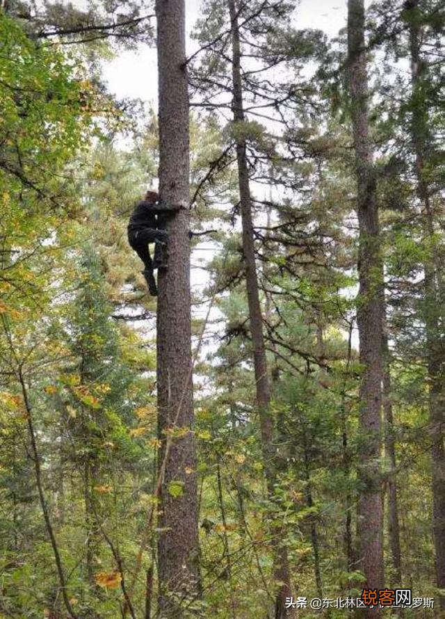 未来还有什么可以白手起家的行业？