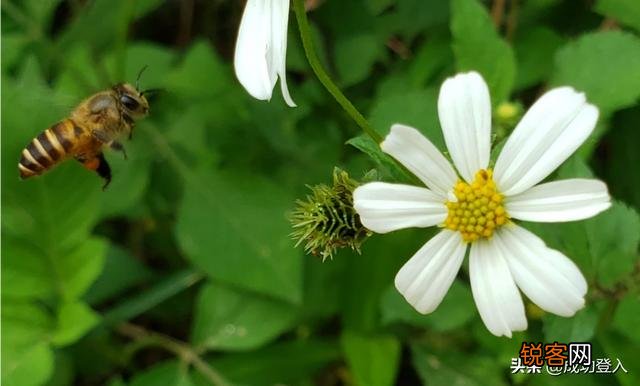 想买部四千左右的手机,主要用来拍照,求推荐？