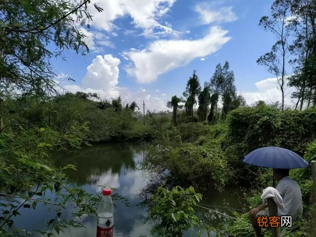 现在的旗舰机,哪个拍照比较好？