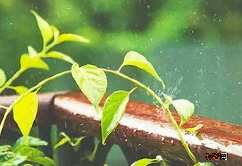 2021年谷雨那天结婚好吗