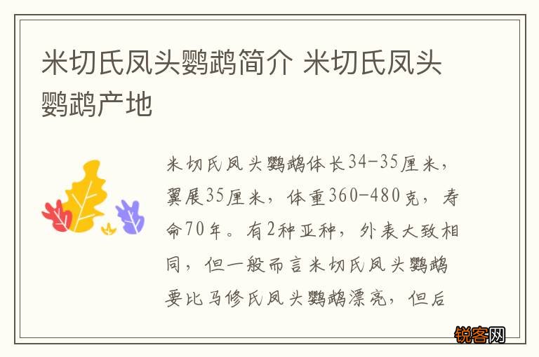 米切氏凤头鹦鹉简介 米切氏凤头鹦鹉产地
