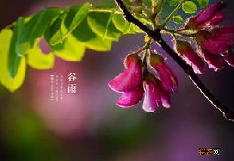 谷雨前后容易下雨吗