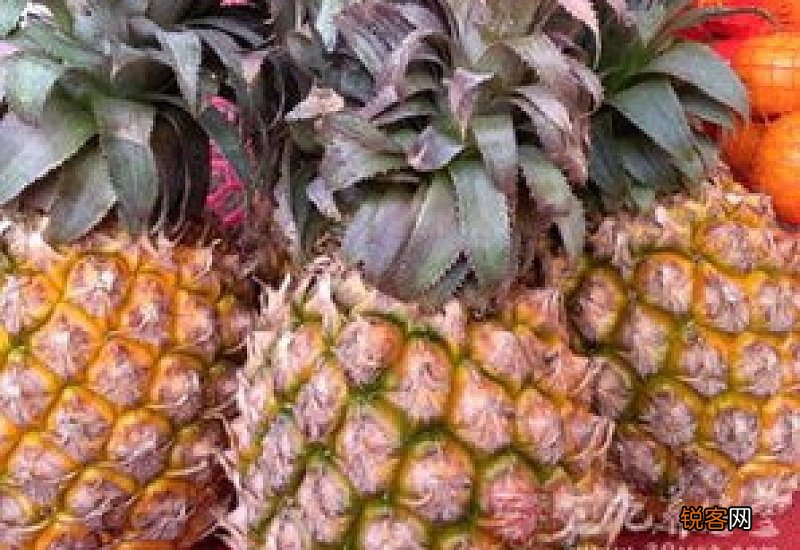 吃凤梨的好处和坏处