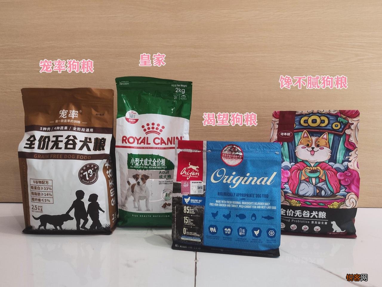 最漂亮的狗狗品种图片 十大狗狗颜值大排名