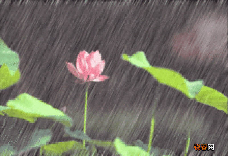 梅雨季节指的是几月