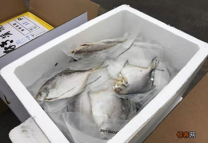 水产品的营养有哪些 吃水产品的好处有哪些