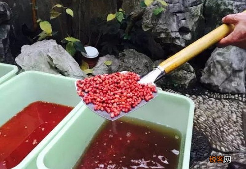 腊八粥颜色不红怎么办