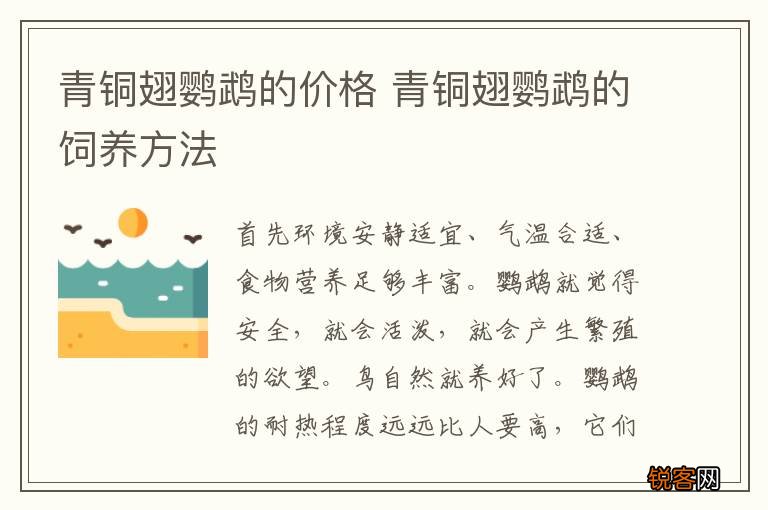 青铜翅鹦鹉的价格 青铜翅鹦鹉的饲养方法