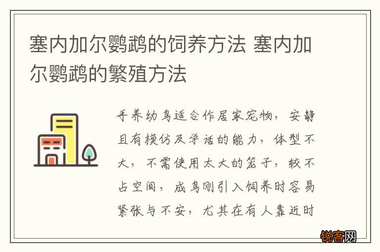 塞内加尔鹦鹉的饲养方法 塞内加尔鹦鹉的繁殖方法
