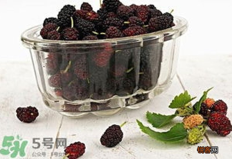 自制桑葚酒的危害