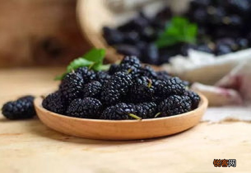 桑葚干的功效与作用禁忌