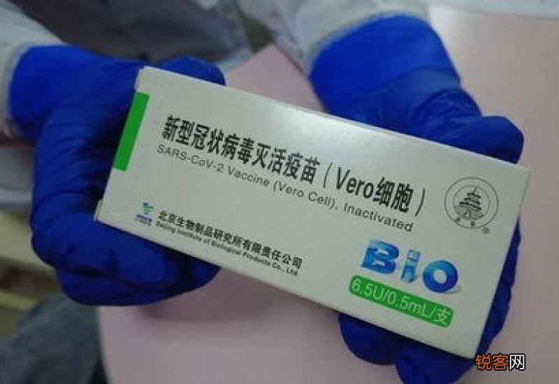 打新冠疫苗可以吃人参吗