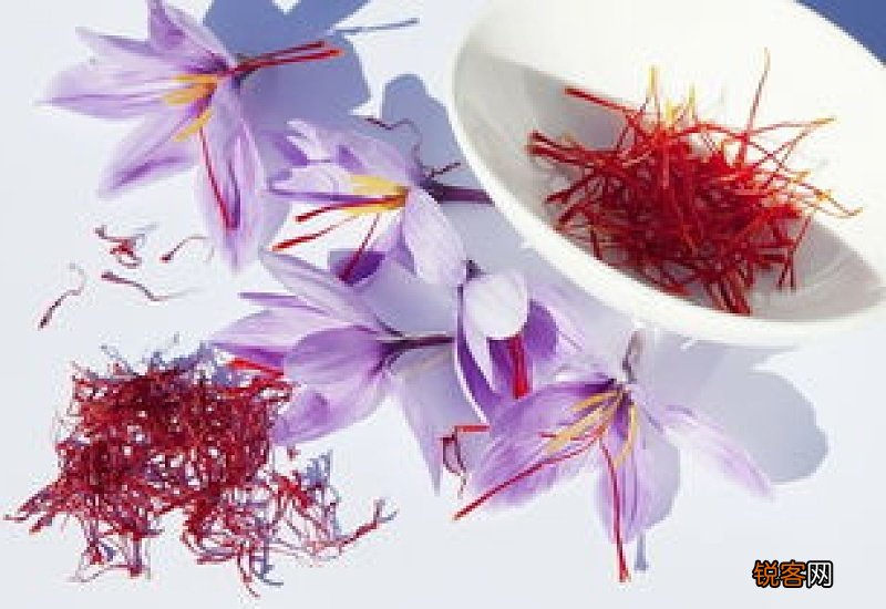 藏红花泡开水还是温水喝