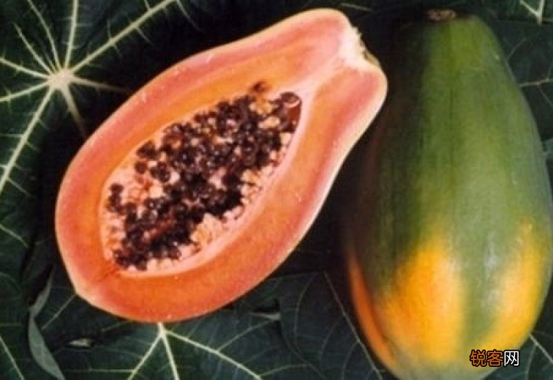 水果有哪些养生价值？不同的水果的功效