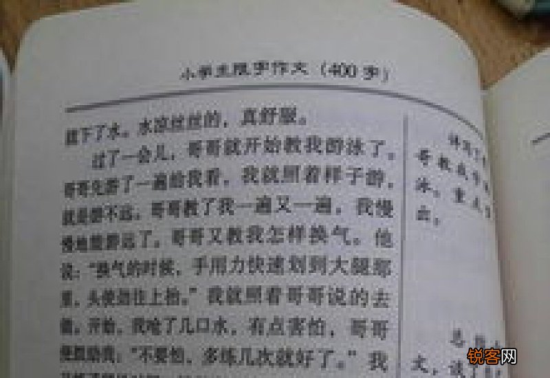 小学生周记400字精选15篇