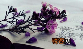 二世子是什么意思 二世子解释