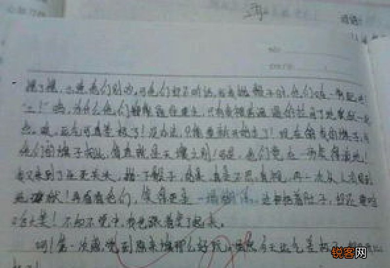 庆祝元旦节的作文600字