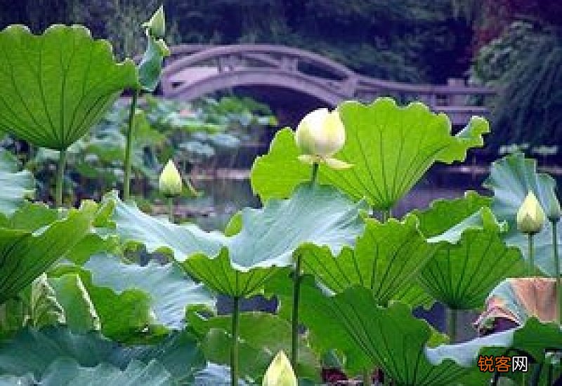 梅雨季节可以做油漆吗