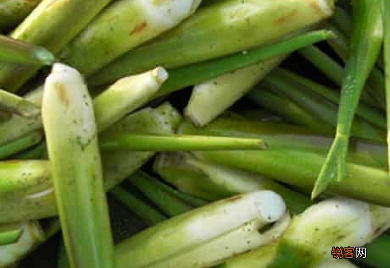 茭白怎么去皮图解