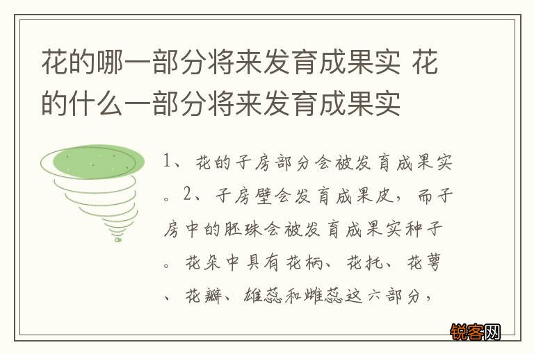 花的哪一部分将来发育成果实 花的什么一部分将来发育成果实