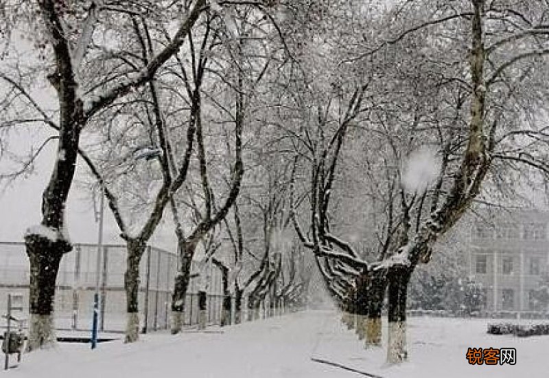 赞美冬天雪景的诗句词