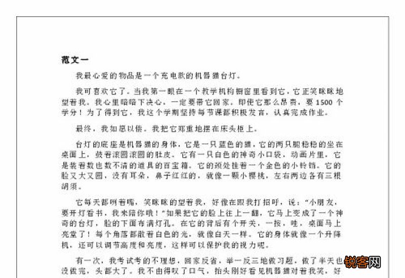 语文心爱之物小学五年级作文