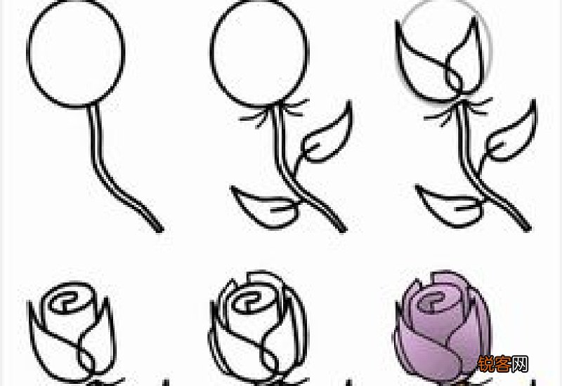 玫瑰花简笔画的画法
