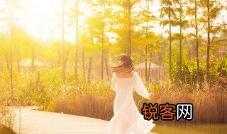 有情饮水饱下一句经典 有情饮水饱下一句是什么