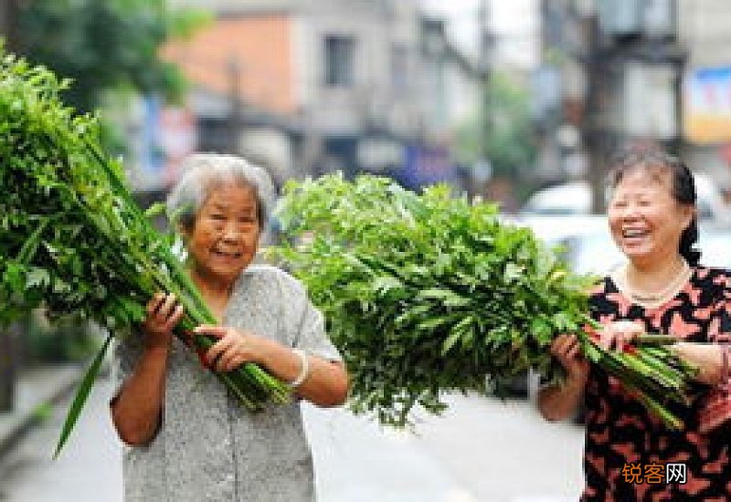 艾叶孕妇可以闻吗
