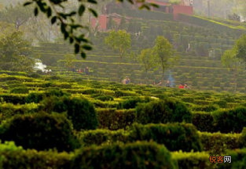 2021清明节扫墓让烧纸吗