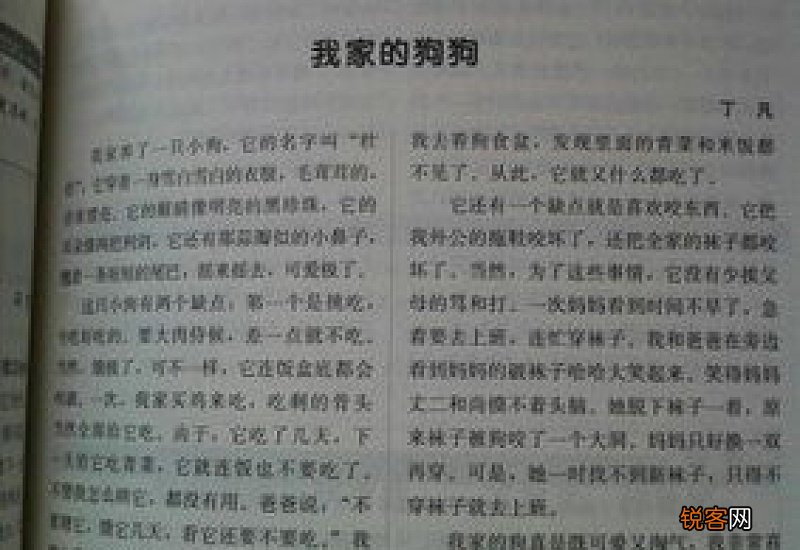 小狗学叫续写作文精选15篇